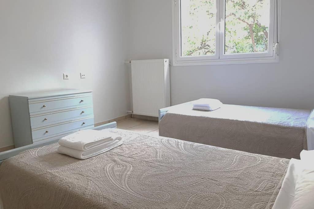 A Great Stay At A Comfortable Large Apartment Atena Exterior foto